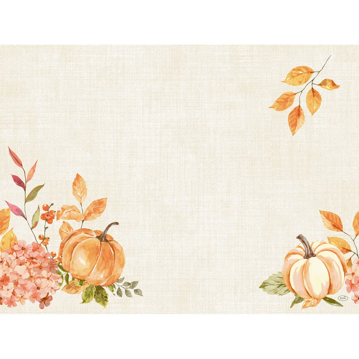 BIO Dunicel Tischsets - Spicy Pumpkin, 30 x 40 cm