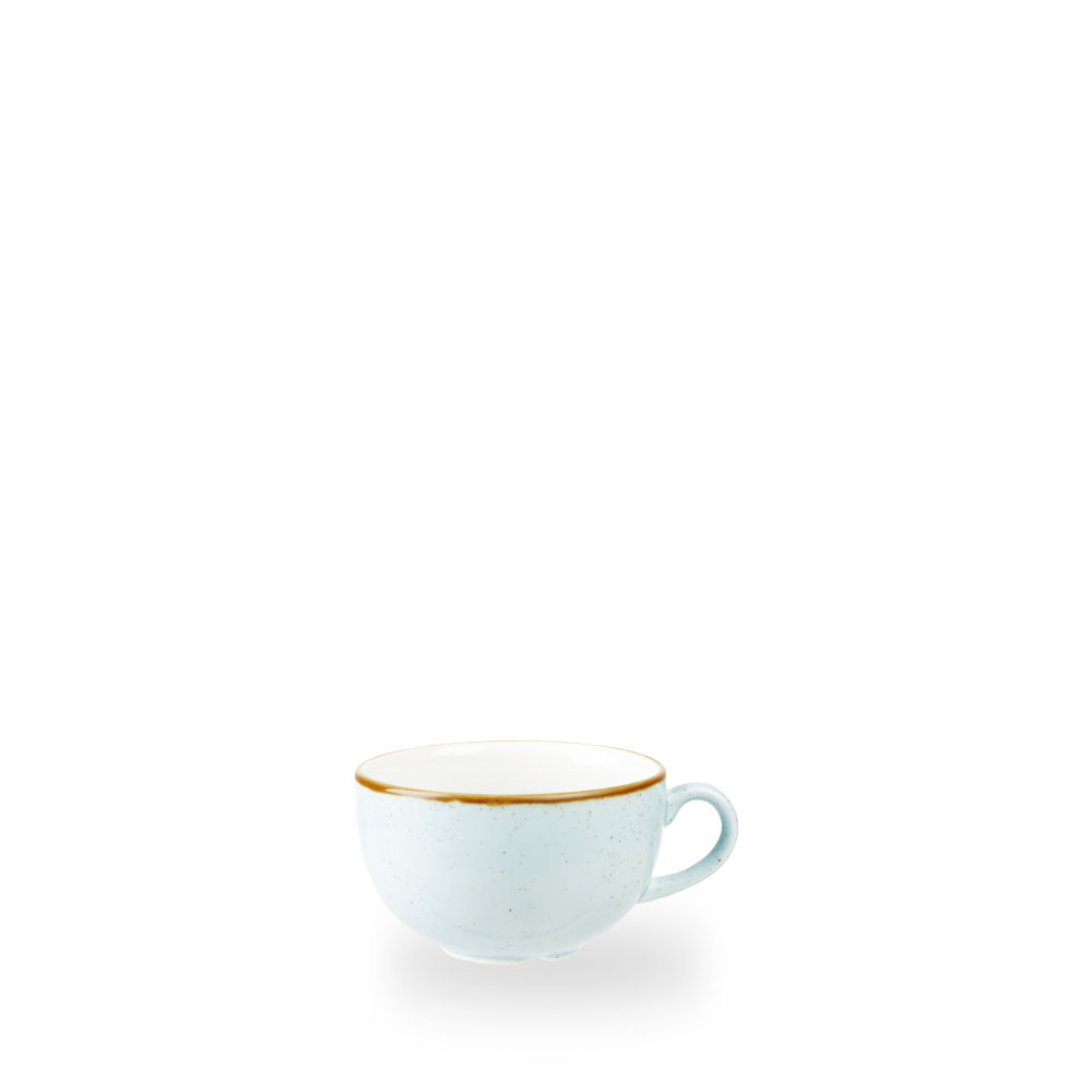 Churchill Stonecast Duck Egg Cappuccino Tasse 44Cl