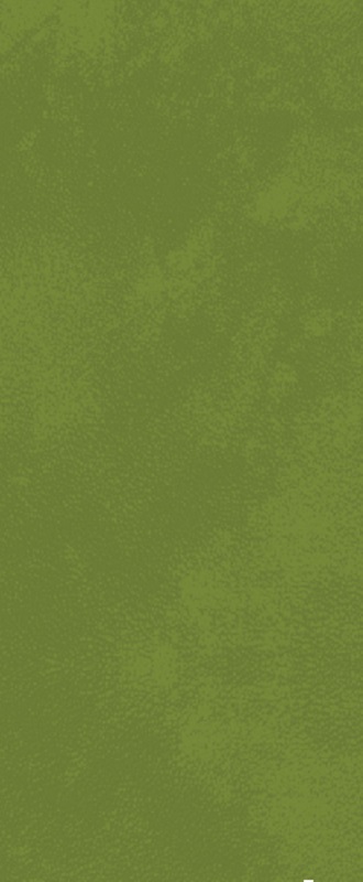 Duniletto-Serviettentasche, leaf green, 480 x 400 mm