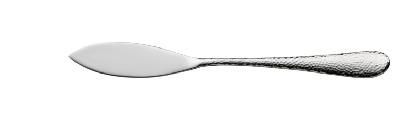 Sitello - Fischmesser, 20.5 cm 18/10