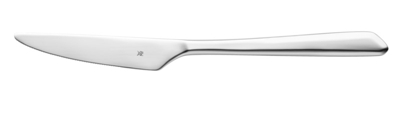 Shades - Steakmesser, Vollheft, 247 mm 18/10