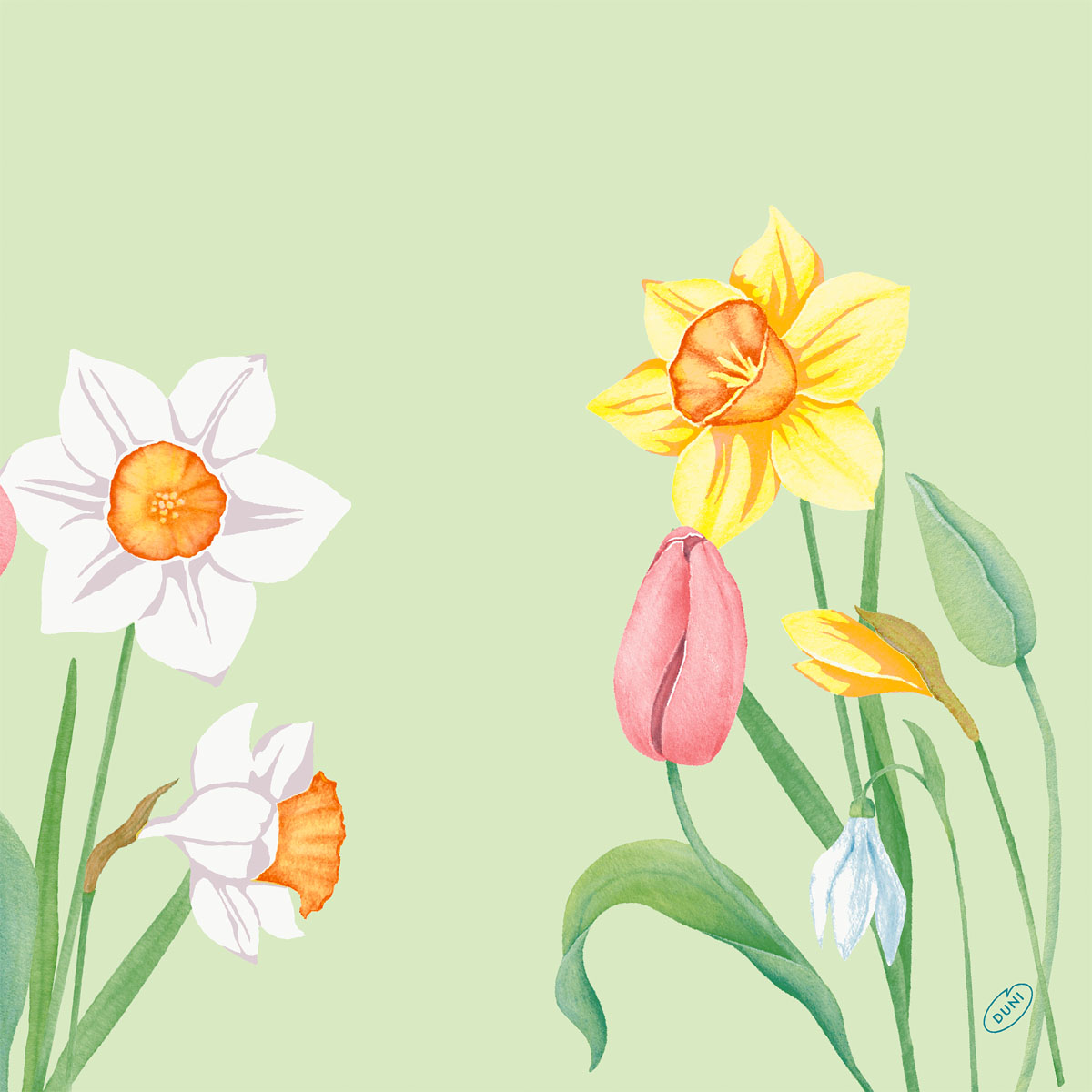 Klassik Servietten - Spring Melody, 40 x 40 cm, 1/4 Falz