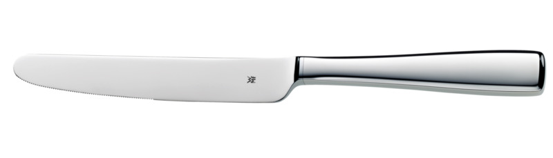 Solid - Menuemesser, Hohlheft, 24.5 cm 18/10