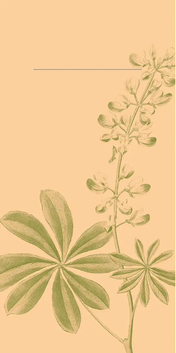 Linclass-Pur Pocket-Napkins Opus flora, 40 x 40 cm 1/8 Falz